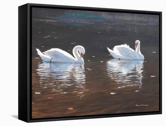 Illustrious Swans-Bruce Dumas-Framed Stretched Canvas