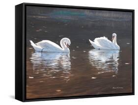 Illustrious Swans-Bruce Dumas-Framed Stretched Canvas