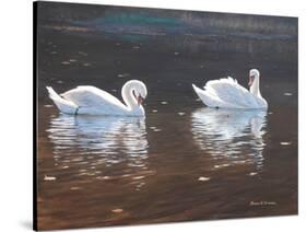 Illustrious Swans-Bruce Dumas-Stretched Canvas