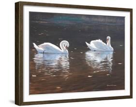 Illustrious Swans-Bruce Dumas-Framed Giclee Print