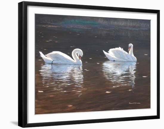 Illustrious Swans-Bruce Dumas-Framed Giclee Print