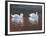 Illustrious Swans-Bruce Dumas-Framed Giclee Print