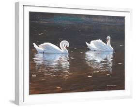 Illustrious Swans-Bruce Dumas-Framed Giclee Print