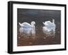 Illustrious Swans-Bruce Dumas-Framed Giclee Print