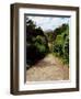 Ilnacullen, Co Cork, Ireland, Happy Valley, From Martello Tower Steps, Spring (photo)-null-Framed Photographic Print