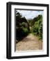 Ilnacullen, Co Cork, Ireland, Happy Valley, From Martello Tower Steps, Spring (photo)-null-Framed Photographic Print