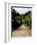 Ilnacullen, Co Cork, Ireland, Happy Valley, From Martello Tower Steps, Spring (photo)-null-Framed Photographic Print