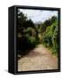 Ilnacullen, Co Cork, Ireland, Happy Valley, From Martello Tower Steps, Spring (photo)-null-Framed Stretched Canvas