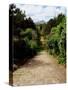 Ilnacullen, Co Cork, Ireland, Happy Valley, From Martello Tower Steps, Spring (photo)-null-Stretched Canvas