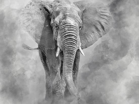 Photographic Print, , large