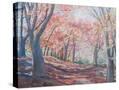 Stretched Canvas