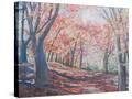 Stretched Canvas