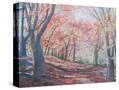 Stretched Canvas