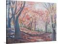 Stretched Canvas