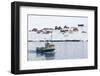 Ilulissat, Greenland,Denmark, Polar Regions-Sergio Pitamitz-Framed Photographic Print