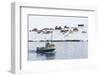 Ilulissat, Greenland,Denmark, Polar Regions-Sergio Pitamitz-Framed Photographic Print