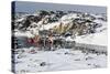 Ilulissat Harbour, Greenland, Denmark, Polar Regions-Sergio Pitamitz-Stretched Canvas