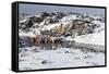 Ilulissat Harbour, Greenland, Denmark, Polar Regions-Sergio Pitamitz-Framed Stretched Canvas