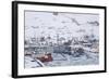 Ilulissat Harbour, Greenland, Denmark, Polar Regions-Sergio Pitamitz-Framed Photographic Print