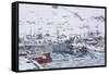 Ilulissat Harbour, Greenland, Denmark, Polar Regions-Sergio Pitamitz-Framed Stretched Canvas