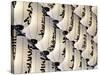 Iluminated paper lanterns at Meiji Shrine-Rudy Sulgan-Stretched Canvas