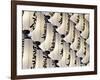 Iluminated paper lanterns at Meiji Shrine-Rudy Sulgan-Framed Photographic Print