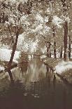 Water Under the Bridge-Ily Szilyagi-Mounted Art Print