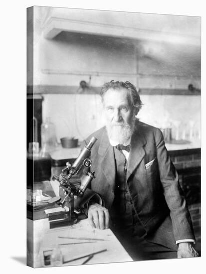 Ilya Ilyich Mechnikov, Russian Immunologist-Science Source-Stretched Canvas