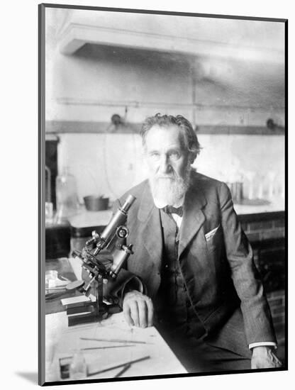 Ilya Ilyich Mechnikov, Russian Immunologist-Science Source-Mounted Giclee Print