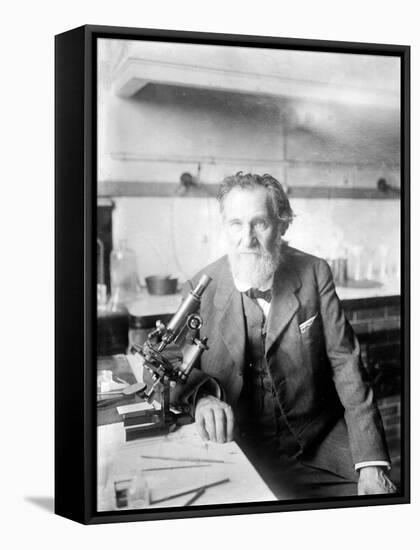 Ilya Ilyich Mechnikov, Russian Immunologist-Science Source-Framed Stretched Canvas