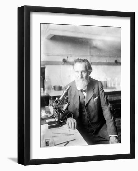 Ilya Ilyich Mechnikov, Russian Immunologist-Science Source-Framed Giclee Print