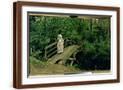 Brown Frame