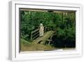 White Frame