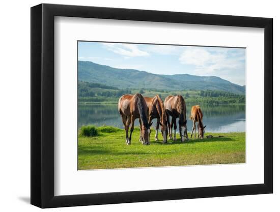 Premium Photographic Print, , large