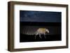 Image of a wild Jaguar projected on to US-Mexico border wall-Alejandro Prieto-Framed Photographic Print