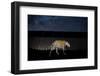 Image of a wild Jaguar projected on to US-Mexico border wall-Alejandro Prieto-Framed Photographic Print