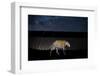 Image of a wild Jaguar projected on to US-Mexico border wall-Alejandro Prieto-Framed Photographic Print