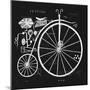 Image of an Old Bicycle with a Large Wheel-Dmitriip-Mounted Art Print