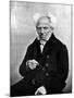 Image of Arthur Schopenhauer, German Philosopher-null-Mounted Premium Photographic Print