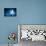 Image of Cat in Jump Catching Moon-Sergey Nivens-Photographic Print displayed on a wall