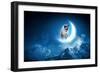 Image of Cat in Jump Catching Moon-Sergey Nivens-Framed Photographic Print