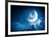 Image of Cat in Jump Catching Moon-Sergey Nivens-Framed Photographic Print