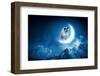 Image of Cat in Jump Catching Moon-Sergey Nivens-Framed Photographic Print