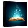 Image of Opened Magic Book with Magic Lights-Sergey Nivens-Framed Stretched Canvas