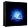 Image of Opened Magic Book with Magic Lights-Sergey Nivens-Framed Stretched Canvas