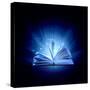 Image of Opened Magic Book with Magic Lights-Sergey Nivens-Stretched Canvas