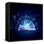 Image of Opened Magic Book with Magic Lights-Sergey Nivens-Framed Stretched Canvas