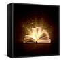 Image of Opened Magic Book with Magic Lights-Sergey Nivens-Framed Stretched Canvas