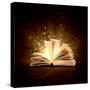 Image of Opened Magic Book with Magic Lights-Sergey Nivens-Stretched Canvas