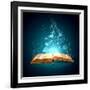 Image of Opened Magic Book with Magic Lights-Sergey Nivens-Framed Photographic Print